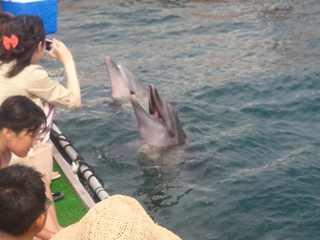 2012-07-29 14.32.29.jpg