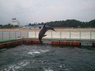 2012-07-29 17.59.17.jpg